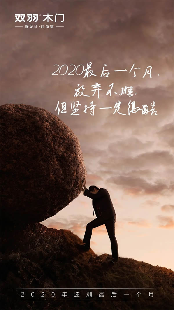 双羽木门 | 2020年最后一月再拼一把
